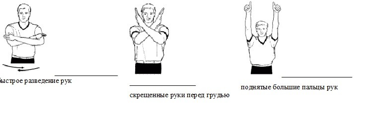 Жесты судьи в дзюдо в картинках с описанием